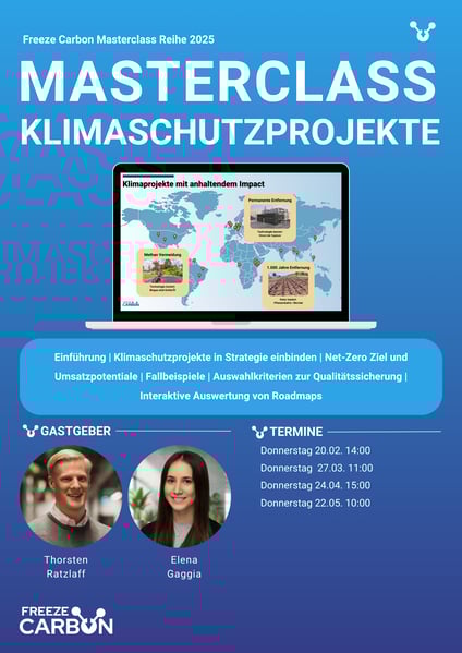 Flyer webinar (2)